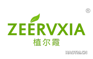 植尔霞 ZEERVXIA