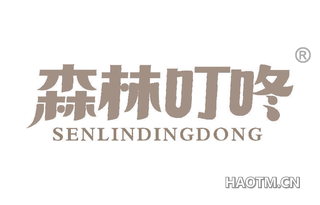 森林叮咚 SENLINDINGDONG