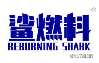 鲨燃料 REBURNING SHARK