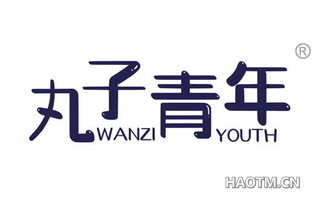 丸子青年 WANZI YOUTH