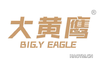 大黄鹰 BIG Y EAGLE