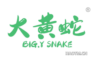 大黄蛇 BIG Y SNAKE