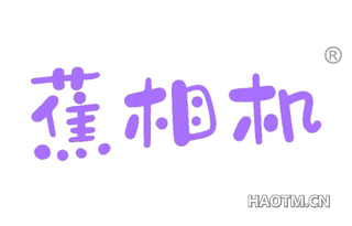 蕉相机