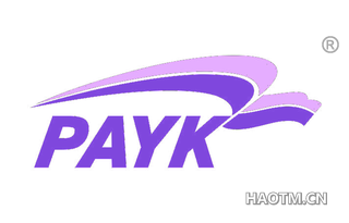 PAYK