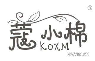 蔻小棉 KOXM