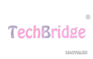 TECHBRIDGE