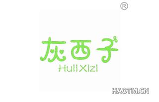 灰西子 HUII XIZI