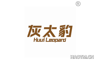 灰太豹 HUUI LEOPARD