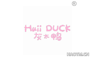 灰太鸭 HUII DUCK