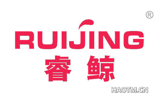 睿鲸 RUIJING