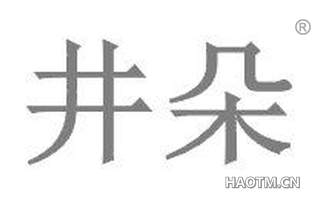 井朵