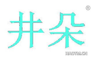 井朵