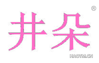 井朵