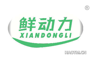 鲜动力 XIANDONGLI