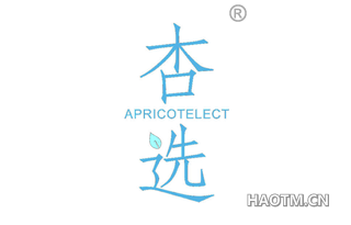 杏选 APRICOTELECT