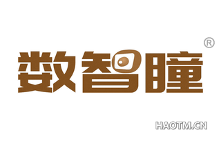 数智瞳