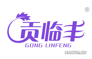 贡临丰 GONGLINFENG