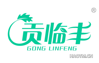 贡临丰 GONGLINFENG