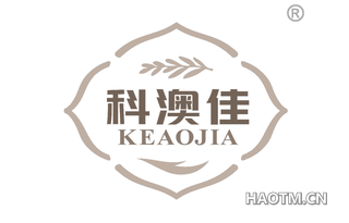 科澳佳 KEAOJIA