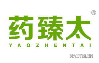 药臻太 YAOZHENTAI