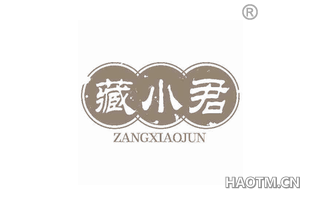 藏小君 ZANGXIAOJUN