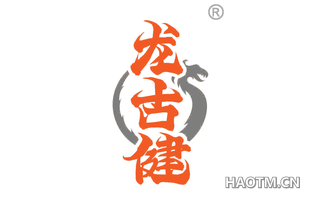 龙古健