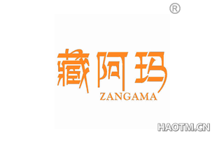 藏阿玛 ZANGAMA