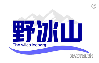 野冰山 THE WILDS ICEBERG