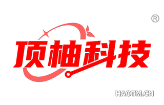 顶柚科技