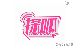 探呱 TAMCROAK