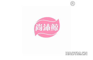 尚沐鲸 