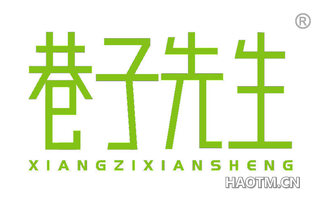 巷子先生