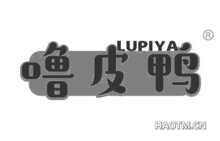 噜皮鸭