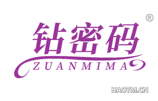 钻密码