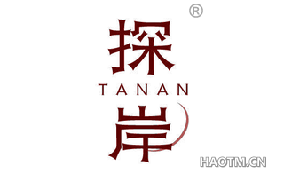 探岸