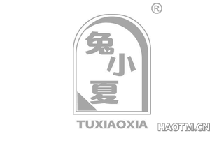 兔小夏
