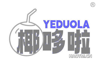 椰哆啦