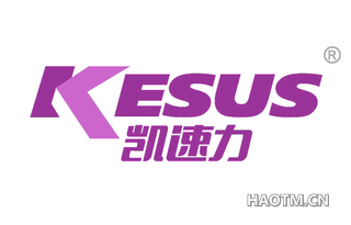 凯速力 KESUS