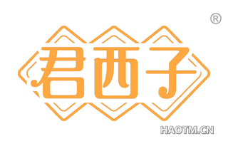 君西子 