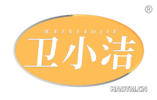 卫小洁