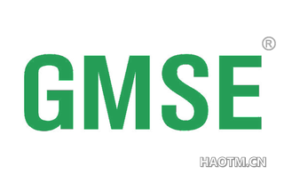 GMSE