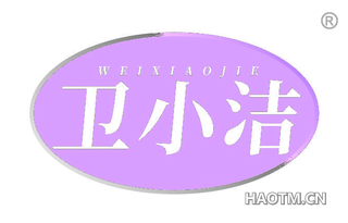 卫小洁