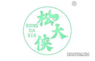 松大侠