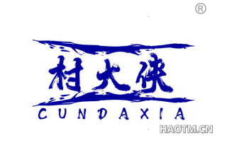 村大侠