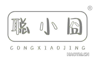 聪小囧 CONGXIAOJING