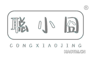 聪小囧 CONGXIAOJING