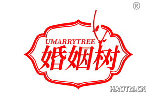 婚姻树 UMARRYTREE