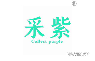 采紫 COLLECT PURPLE