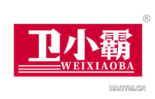 卫小霸