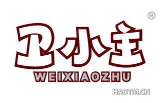 卫小主